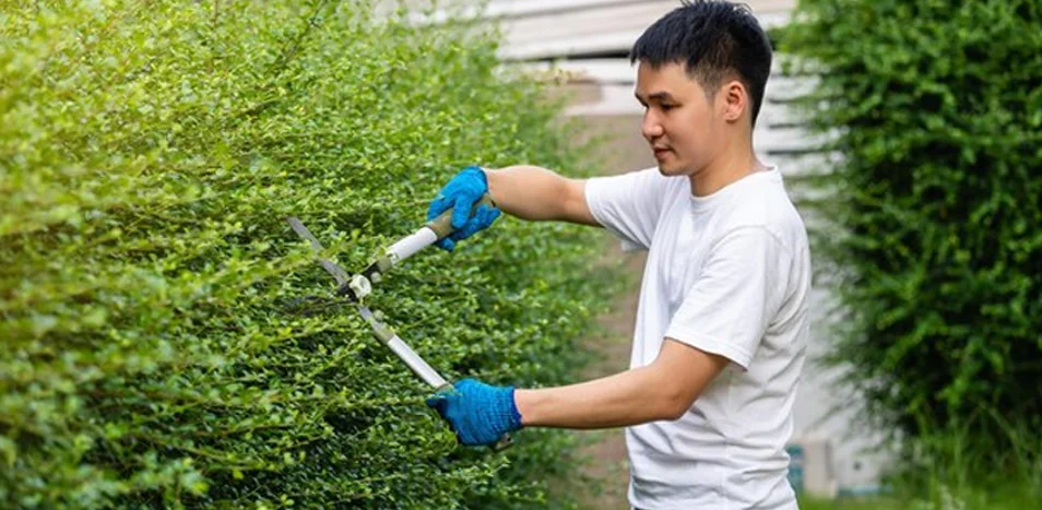 Ground Maintenance & Landscaping